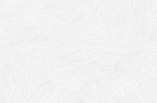 main-pattern