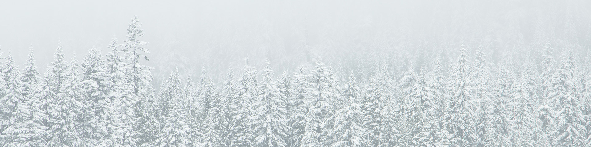 bg-header
