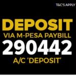 betboss