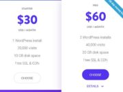 Kinsta Pro Plan