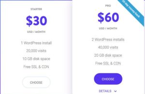 Kinsta Pro Plan