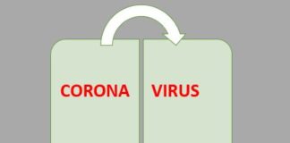 Very Useful Information About Coronavirus