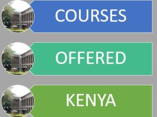 Colleges and universities offering Real Estate Courses in Kenya
