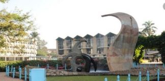 Is Project Management Marketable in Kenya