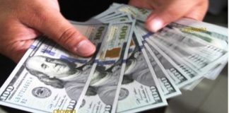 Facts About Crowd 1, is It Legit or a Scam