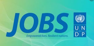 Most Stable Jobs with High Salaries in Kenya