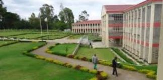 Courses offered at RVIST