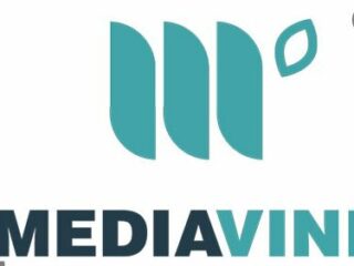 Mediavine Requirements